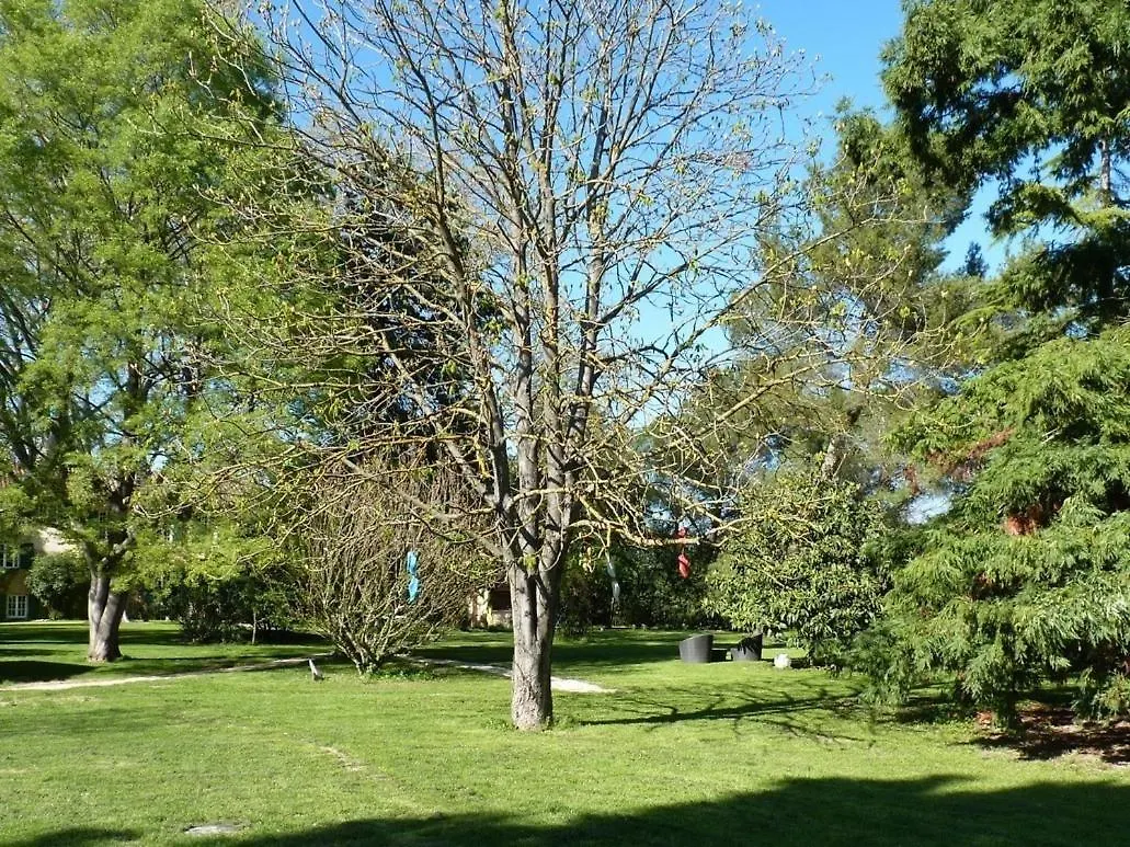 Domaine De Rhodes B&B Avignone